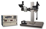 Sutter  MOM 可移动物镜显微镜双光子或三光子显微镜
